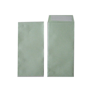 Color Envelope 8 x 16.5cm 6/pack, Assorted