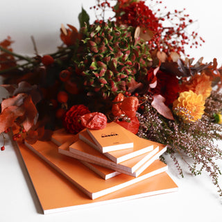 RHODIA Notepad, Lined, 80gsm, 80/pages, Orange, Assorted Sizes